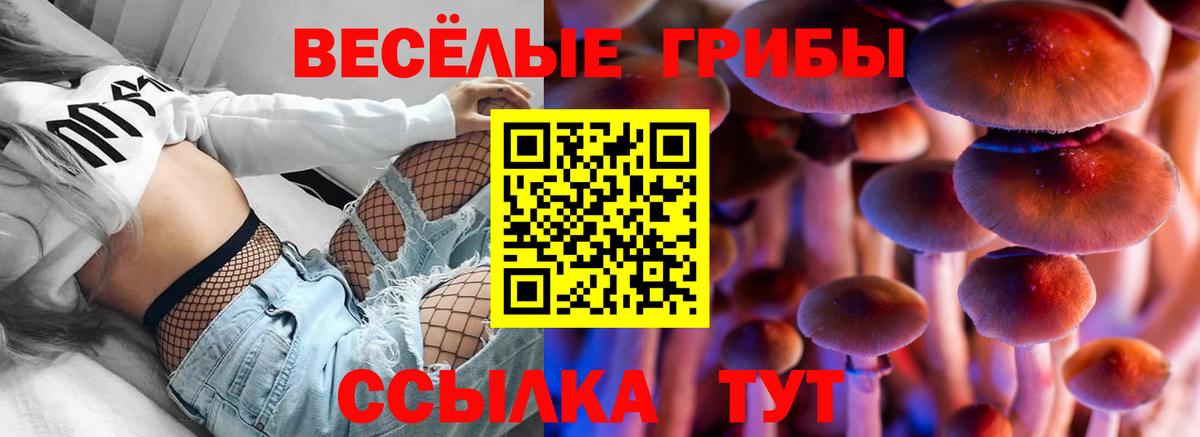 Клин  Галлюциногенные грибы ЛСД  Вход с VPN  Галлюциногенные грибы ЛСД 