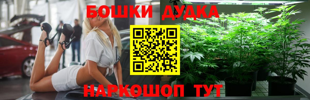 Канабис ГИДРОПОН  Бошки марихуана планчик  Канабис SATIVA & INDICA  Клин  Вход с VPN  Конопля Amnesia 